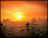 Landscapes II