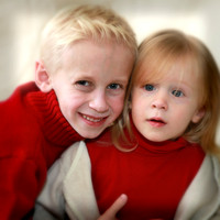 The Donoghues