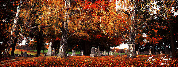 Pioneers Cemetery N.Y