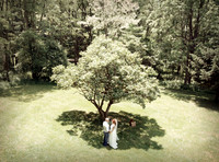 Wedding Aerialography